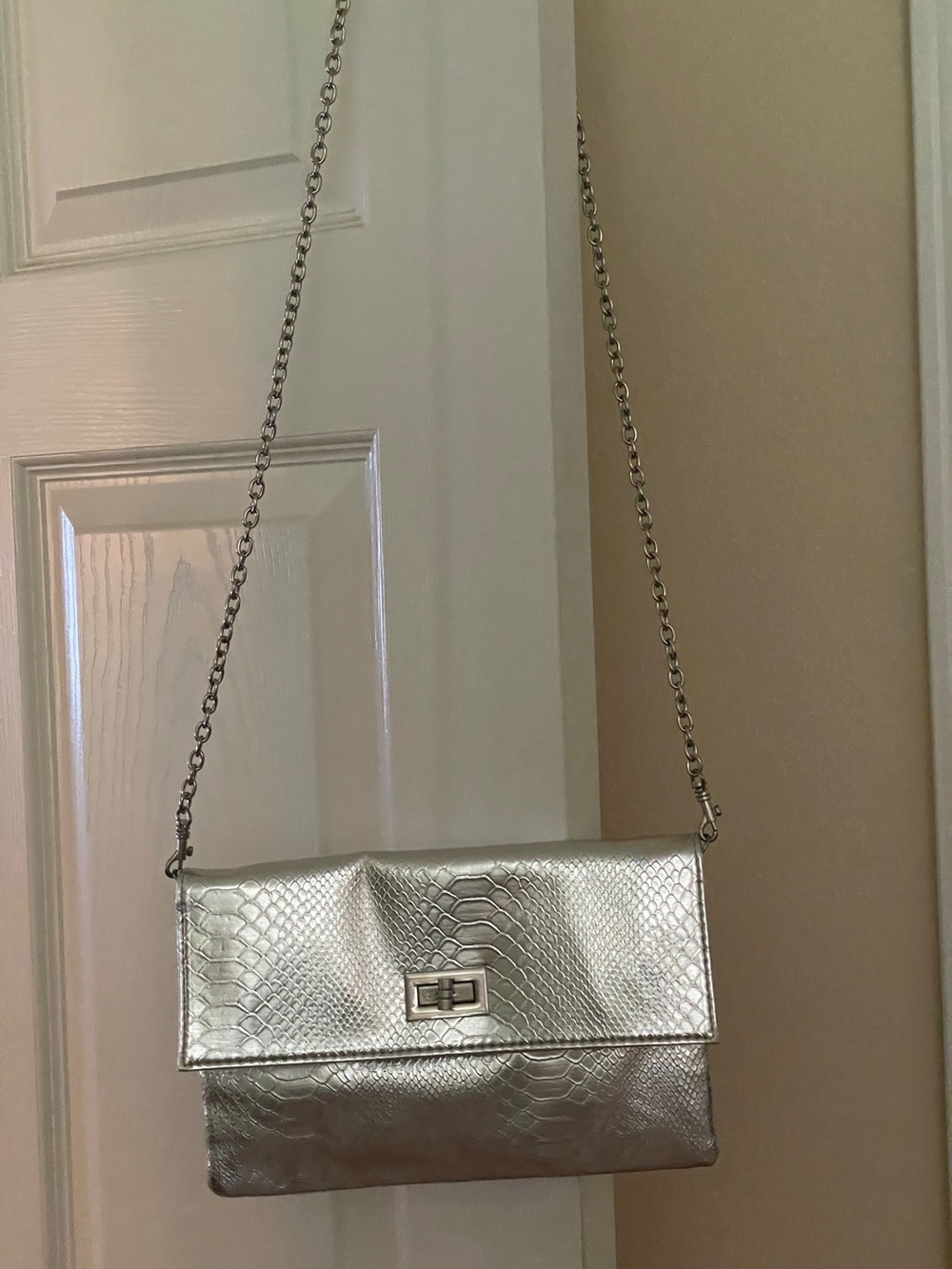 Silver Metallic Snake-Embossed Chain Shoulder Bag